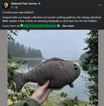 National Park Service halibut crochet pattern 
